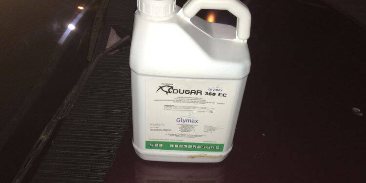 Polícia Federal apreende veículo com carga de agrotóxicos e cigarros.