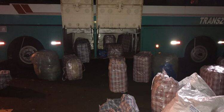 Polícia Federal apreende haxixe em ônibus de turismo