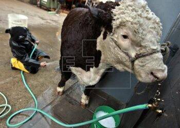 Paraguai espera US$160 milhões em negócios na 37° edição da ExpoFeira