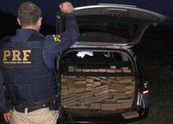 PRF apreendeu 52% mais drogas no 1º semestre no Paraná