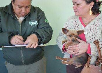 Quase 600 animais foram vacinados contra a raiva no CCZ