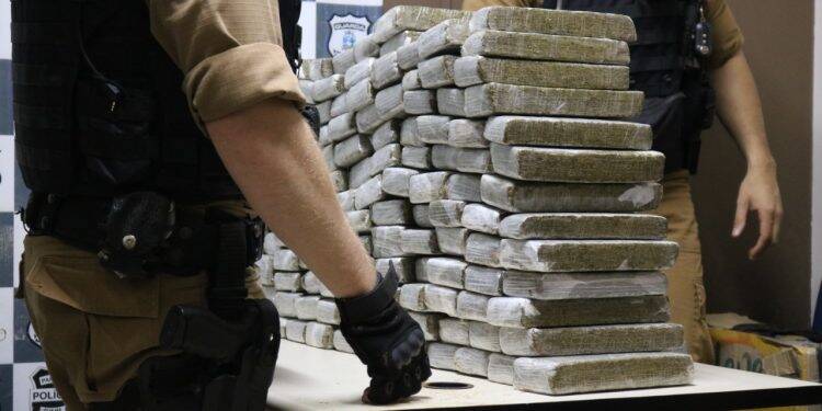 Polícia apreende 100 quilos de maconha em Foz