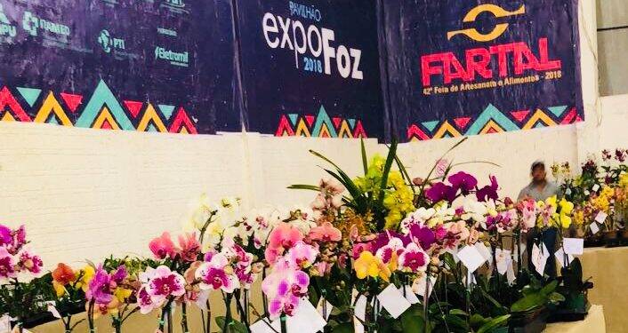 Começou a 19° Ecoflores, com renda revertida para a Apae