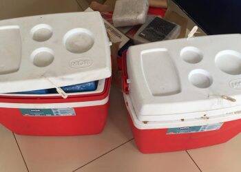 Motorista é preso transportando produtos estrangeiros ilegais em van oficial da prefeitura de Ramilândia
