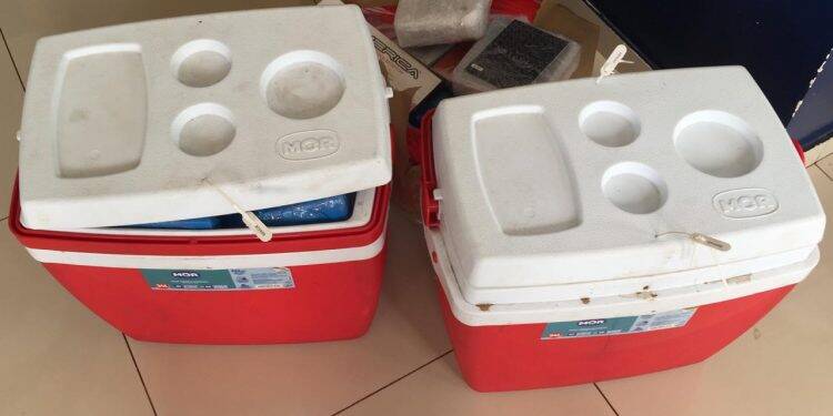 Motorista é preso transportando produtos estrangeiros ilegais em van oficial da prefeitura de Ramilândia