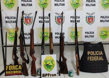 Policias deflagram operação de desarmamento e combate à crimes ambientais