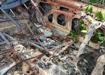 Crânio humano é encontrado em veículo carbonizado