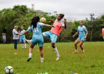 Paranaense feminino recomeça neste sábado