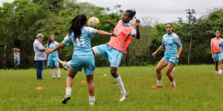 Paranaense feminino recomeça neste sábado