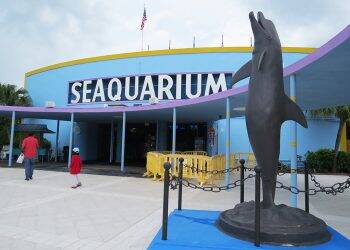 Ministério do Turismo aprova construção de aquário gigante em Foz do Iguaçu