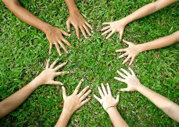 Foz do Iguaçu inicia Formação de Educadores Ambientais esta semana