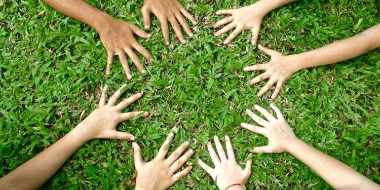 Foz do Iguaçu inicia Formação de Educadores Ambientais esta semana