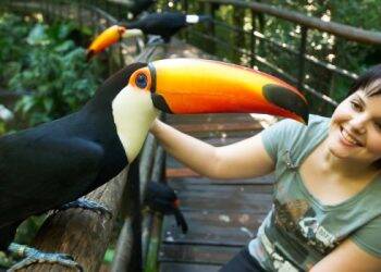 Parque das Aves: Moradores de Foz e municípios lindeiros ao Parque Nacional pagam R$10