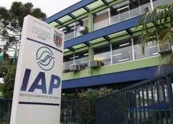 Licenças ambientais pelo IAP podem ser retiradas pela internet