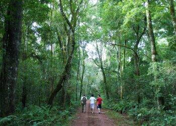 Parque Nacional do Iguaçu lança Circuito M’Boi integrando trilhas das Bananeiras, Poço Preto, Ilha da Taquara e Porto Canoas