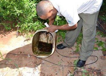 CCZ alerta para alto índice do Aedes aegypti em Foz do Iguaçu