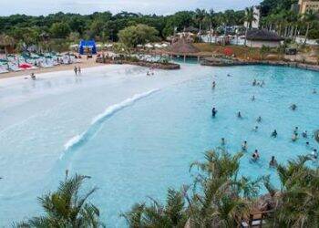 Blue Park recebeu quase 40 mil pessoas no primeiro mês de funcionamento