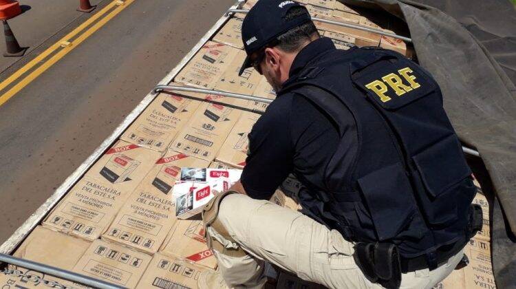 PRF apreende 51 toneladas de drogas em 2018 no Paraná