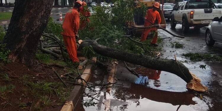 Tempestade deixou mais de 10 mil unidades sem luz em Foz do Iguaçu