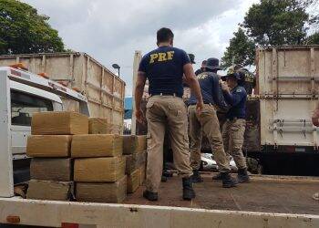 PRF apreende 51 toneladas de drogas em 2018 no Paraná