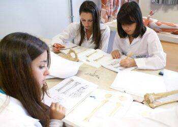 Universidades estaduais oferecem vagas para transferência externa