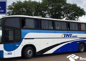 Carro e dois ônibus com agrotóxicos e anabolizantes são apreendidos