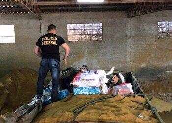 PF apreende mais de uma tonelada e meia de maconha na Fronteira