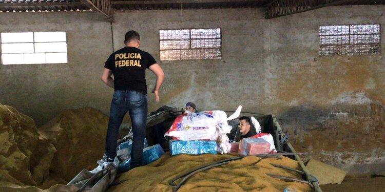 PF apreende mais de uma tonelada e meia de maconha na Fronteira