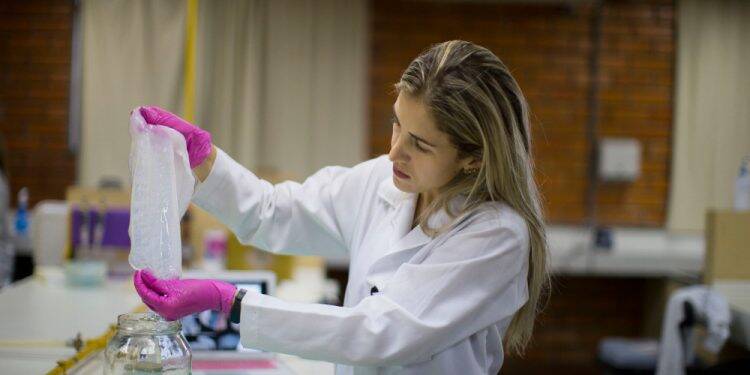 CNPq aprova primeira bolsa de pós-doutorado da Unila