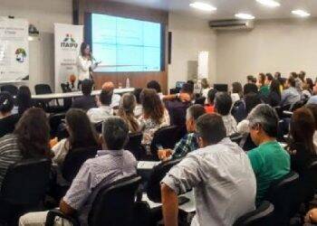 Saúde de Foz integra treinamento sobre manejo clínico da febre amarela