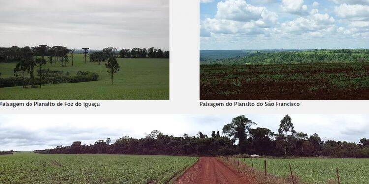 Projeto da Unila reúne em site dados sobre geografia de 11 municípios do Oeste