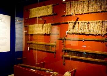 Exposições do Ecomuseu ficam em cartaz até o final do mês