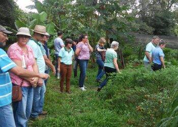 Produtores conhecem modelo de propriedade agroecológica com diversificação de cultura no Oeste