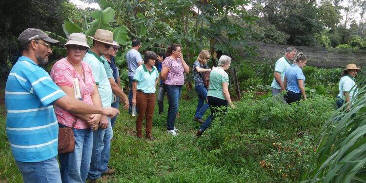 Produtores conhecem modelo de propriedade agroecológica com diversificação de cultura no Oeste