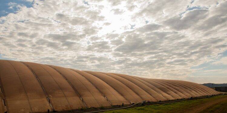 Brasil tem potencial estimado para produzir até 82 bilhões de metros cúbicos de biogás por ano