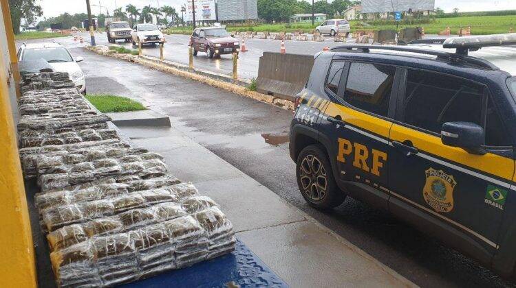 PRF apreende 3,5 toneladas de drogas e 5,9 milhões de carteiras de cigarro no 1º trimestre no Paraná