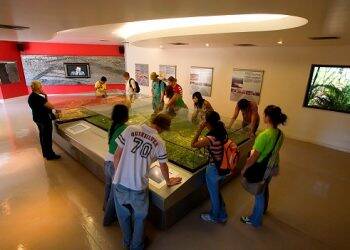 Movimento de turistas na Itaipu sobe 17,5% no feriado de Páscoa