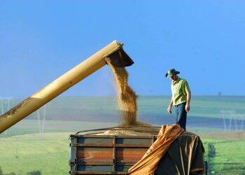 Ministério da Agricultura atende a pedido de Foz por reforço na área de importação e exportação agropecuária