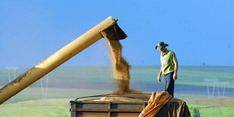 Ministério da Agricultura atende a pedido de Foz por reforço na área de importação e exportação agropecuária