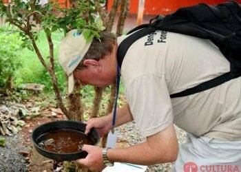 Foz do Iguaçu tem quase 400 casos confirmados de dengue em 2019