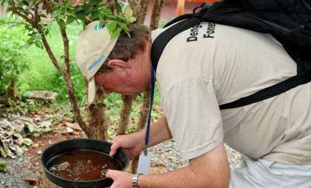 Foz do Iguaçu tem quase 400 casos confirmados de dengue em 2019