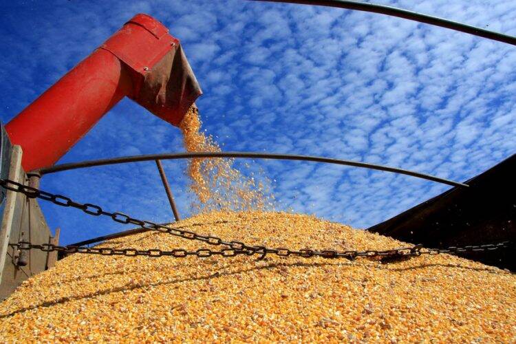 Ministério da Agricultura atende a pedido de Foz por reforço na área de importação e exportação agropecuária