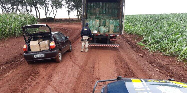 PRF apreende 1,5 tonelada de maconha no fim de semana no Paraná