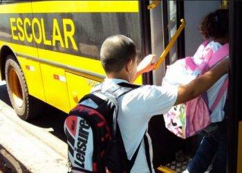 Motoristas de transporte escolar devem ser habilitados para a atividade, reforça TCE-PR
