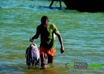 Pesca: 65% dos cadastros realizados para receber o seguro defeso foram fraudados