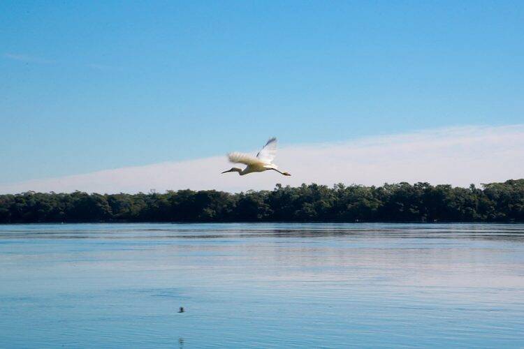 Mil quilômetros de praias de água doce enriquecem turismo do Paraná