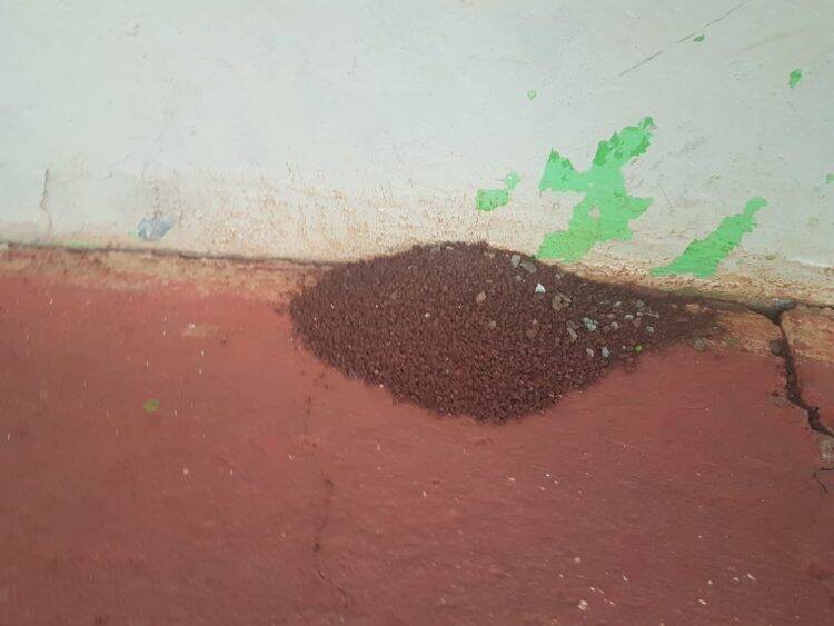 Escola Municipal Gabriela Mistral passará por vistoria do Corpo de Bombeiros