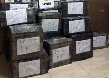 Polícia Militar encontra quase 600 kg de maconha em casa na Costa e Silva