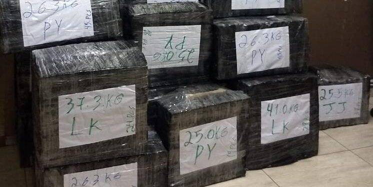 Polícia Militar encontra quase 600 kg de maconha em casa na Costa e Silva