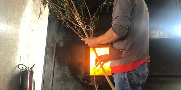 Polícia Civil incinera mais de 2,5 toneladas de drogas